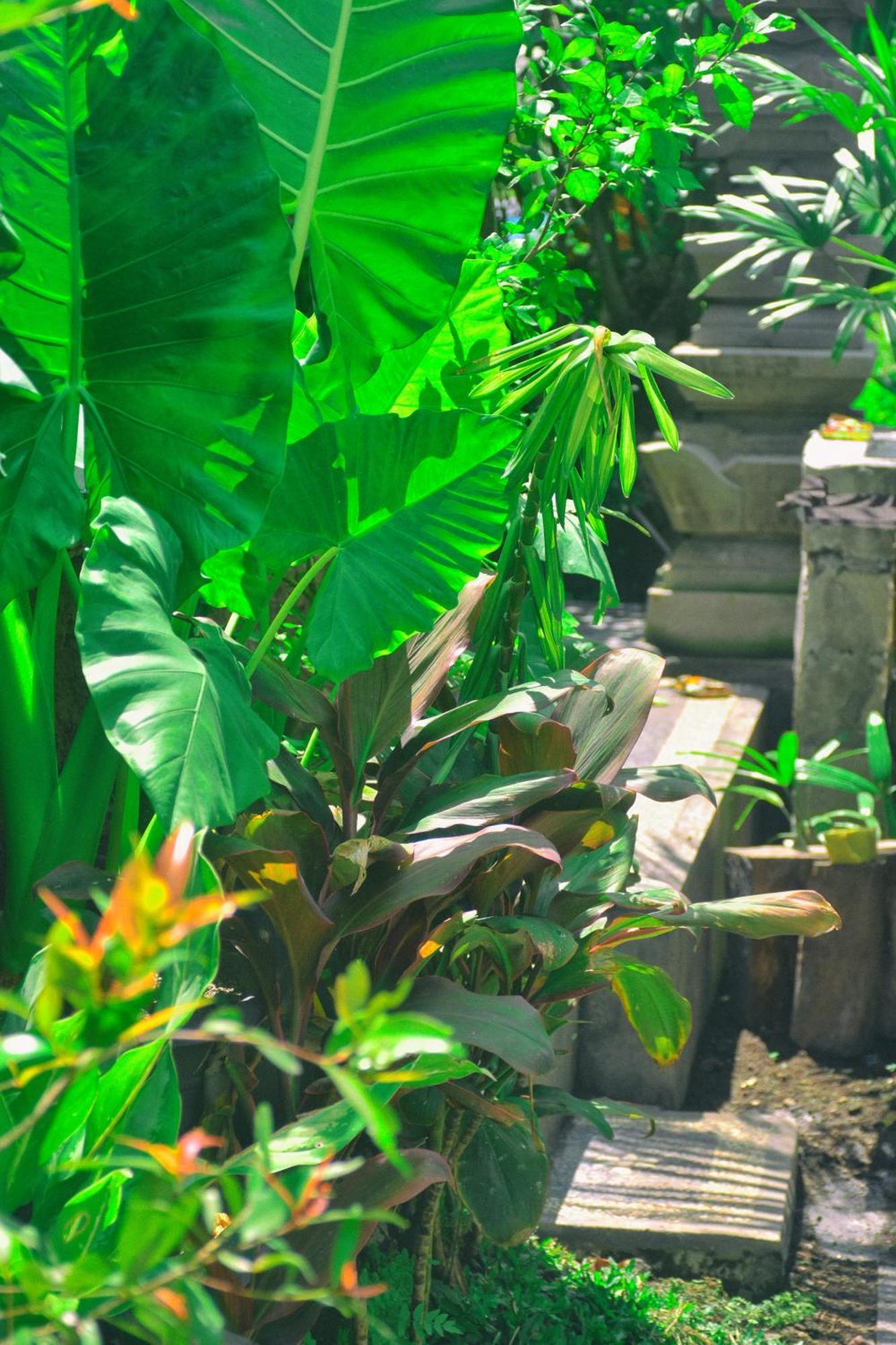 Ume Sita Villa And Homestay Ubud Exterior foto